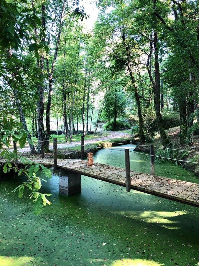 Vila Quinta De Maderne Felgueiras Exteriér fotografie